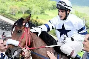 South African jockey Brandon Morgenrood