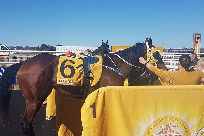 Cama De Rosas wins at Wagga