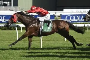 Charlie Boy at Randwick