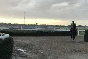 Horse training centre at Cranbourne, Victoria