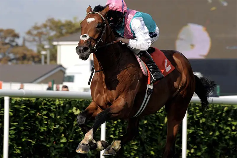 British champion Frankel