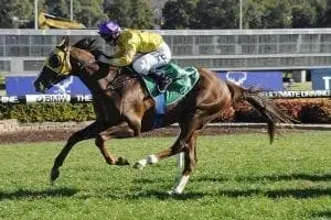 Gold Standard wins at Canterbury Park
