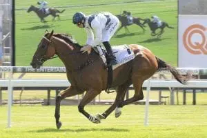 Red Excitement wins at Gosford