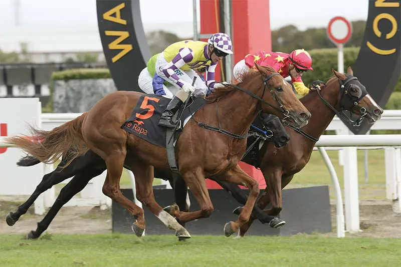 Sacred Rebel, trained by Tony Pike