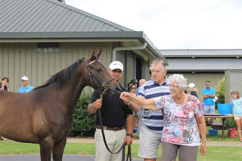 Sophie's Choice and Sir Colin Meads