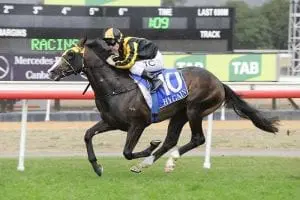Trapeze Artist Trapeze Artist wins at Canberra