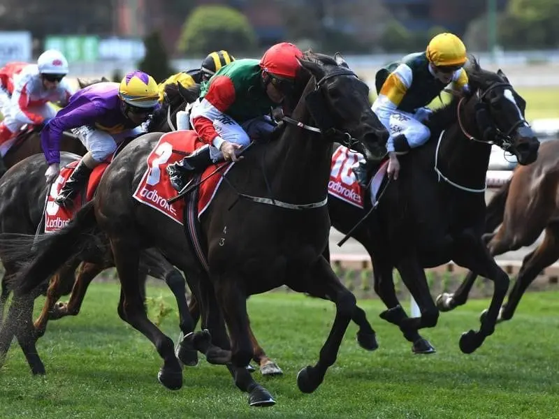 Samovare will be trying to secure at Caulfield Cup start by winning the Foundation Cup. Samovare