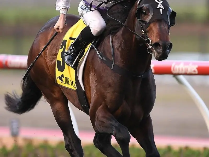Beau Mertens will again ride Stampede as the five-year-old tries to cement a Caulfield Cup berth. Beau Mertens