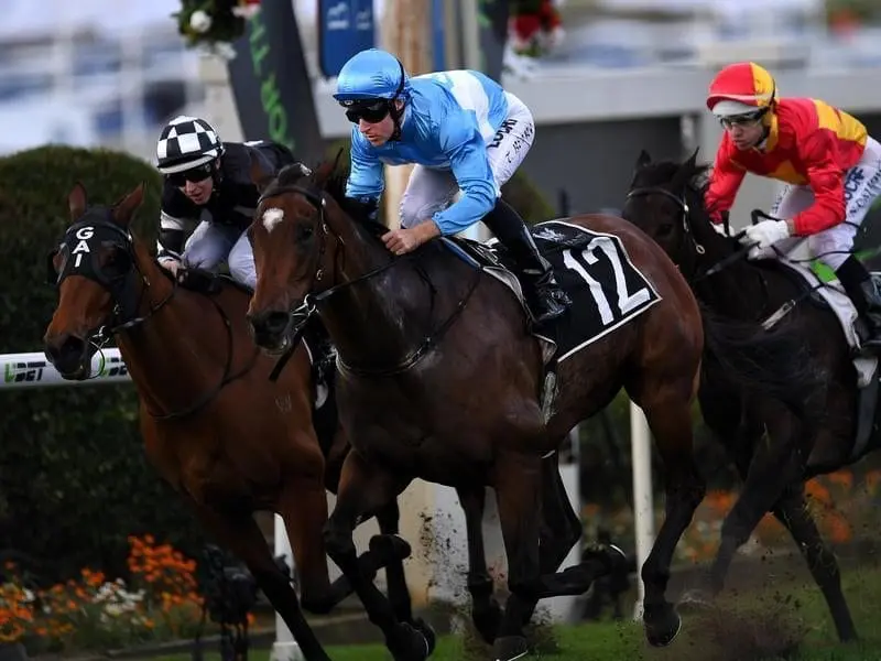 Prompt Response (outside) resumes in the How Now Stakes at Caulfield. Prompt Response