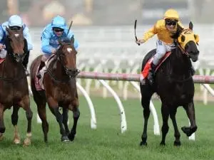 Chris Meagher in dream start to training