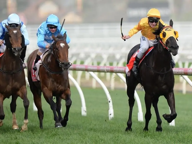 Jockey Brad Rawiller urges Savanna Amour to the line for a stakes win at Caulfield. Savanna Amour