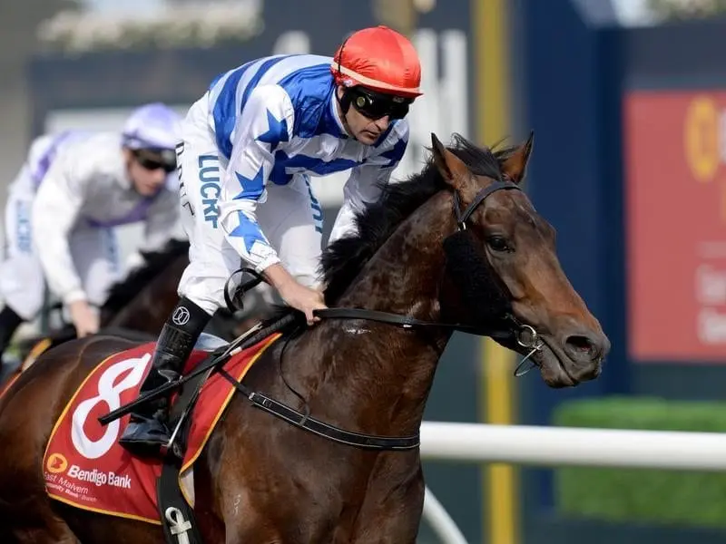 Harlem has been handed a 0.5kg weight penalty for the Caulfield and Melbourne Cups. Jockey Dwaye Dunn on Harlem