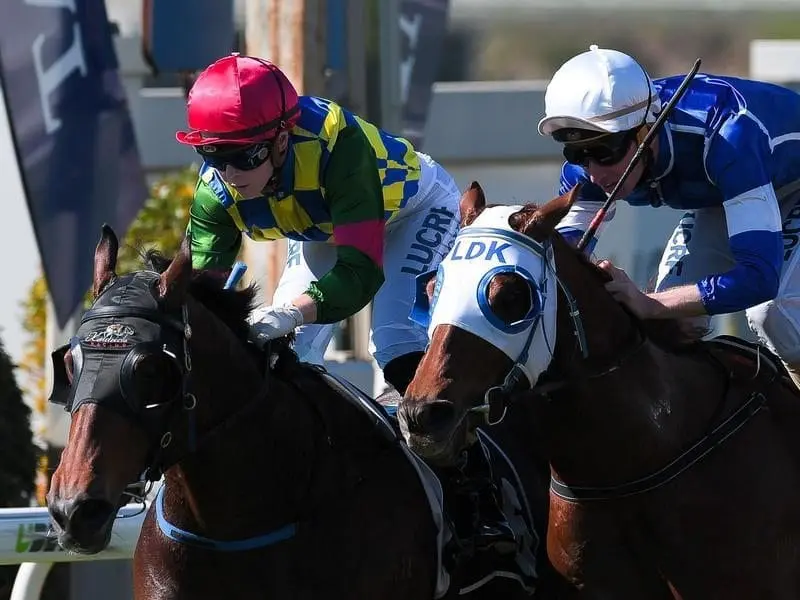 Hingus Rose (left) will be out to add to her last-start Doomben win when she returns to the track. Hingus Rose