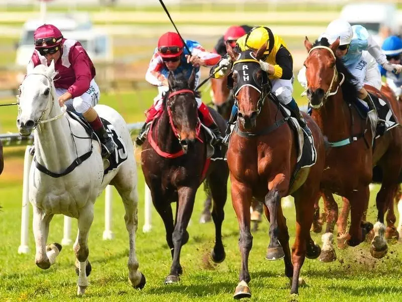 Manndawi (left) will be out to improve on his last-start second when he runs at Doomben. Manndawi