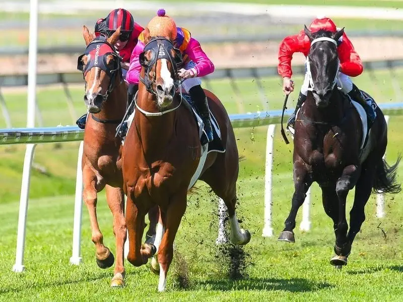 Someday ends a long run of outs at Doomben for jockey Damian Browne and trainer Desleigh Forster. Someday
