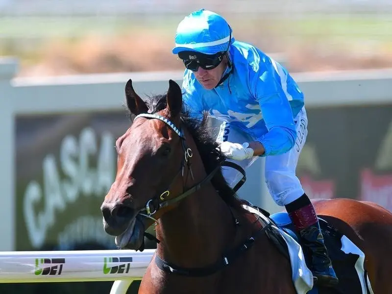 Promising sprinter Whypeeo made it three wins from four starts with a easy victory at Doomben. Whypeeo