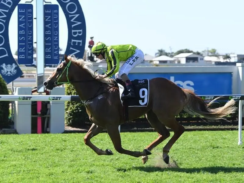 Cabeirian gives his rivals a galloping lesson at Doomben to confirm his potential. Cabeirian