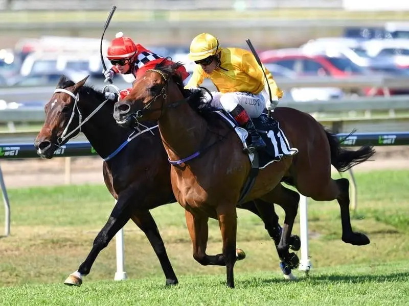 Jockey Jeff Lloyd riding #11 Impregnable.