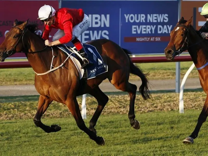Zanbagh comes to the Epsom Handicap off a Group Three win in the Tibbie Stakes at Newcastle. Zanbagh