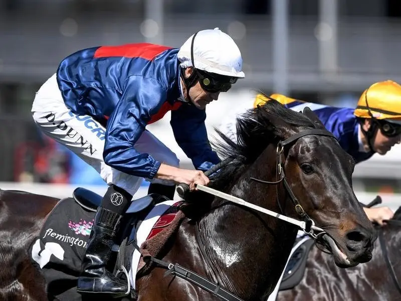 Octabello put himself in contention for a Caulfield Guineas start after winning at Flemington. Octabello