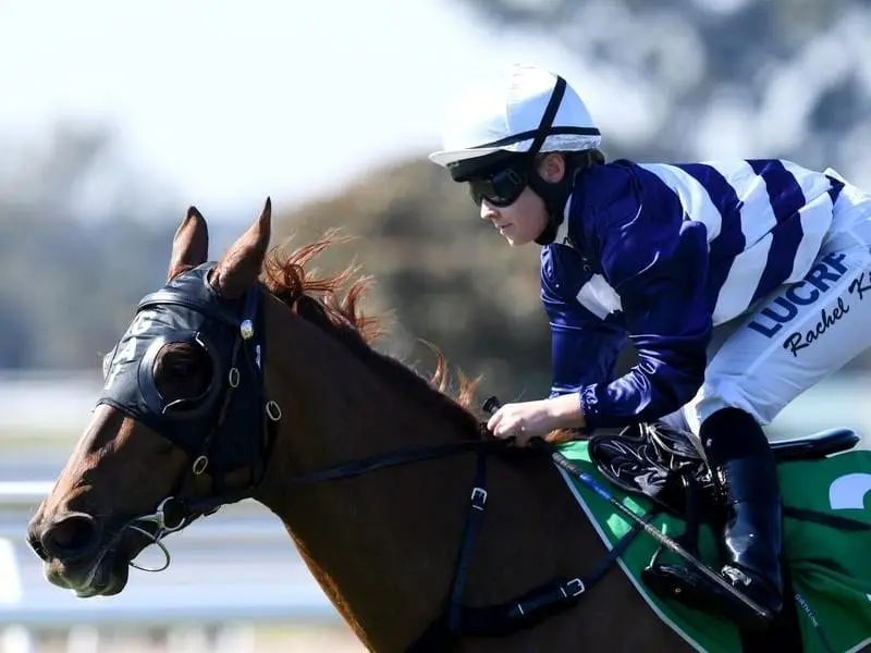 Pandemonium is tipped to be on her best behaviour in Group One Flight Stakes. Pandemonium