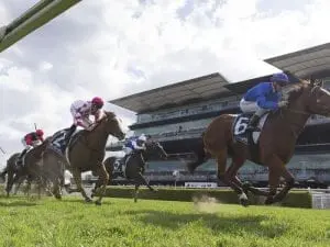 Champagne Cuddles to take Flight