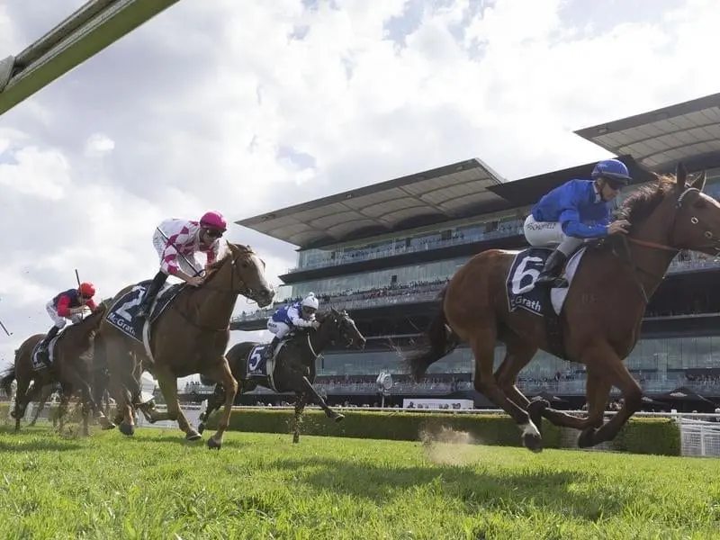Champagne Cuddles (left) will be out to topple Alizee (right) when they meet in the Flight Stakes. cHAMPAGNE CUDDLES