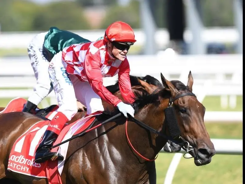 Craig Williams will miss the ride on Catchy in the Danehill Stakes because of another commitment. Catchy