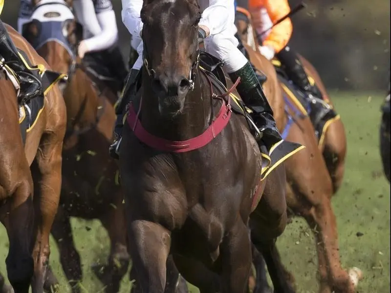 Shannon Stakes winner Washington Heights could back up in the Group One Epsom Handicap. Washington Heights