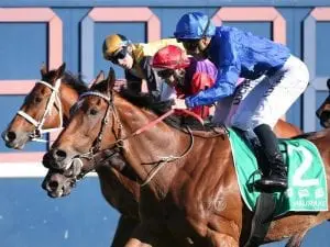 Epsom winner Hauraki retired