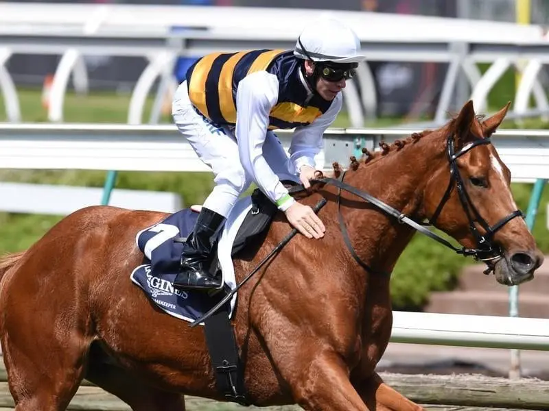 Former French horse Gailo Chop will be one of three Darren Weir-trained horses in the Makybe Diva. gailo chop