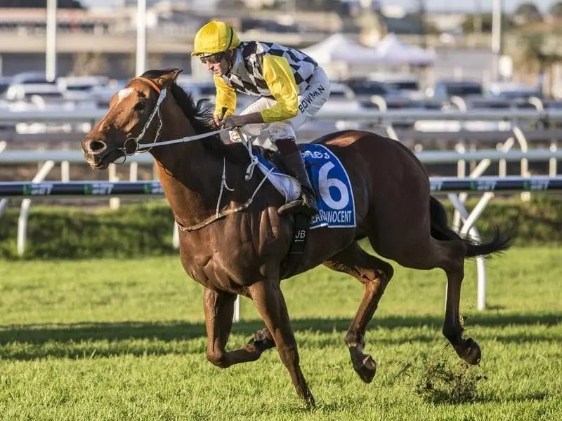 Kris Lees is hoping Clearly Innocent can stake his claim for a slot in The $10 million Everest. Hugh Bowman riding Clearly Innocent