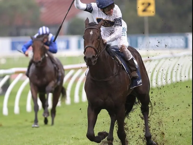She Will Reign will run in a barrier trial at Rosehill as a lead-up to the Group One Moir Stakes. She Will Reign