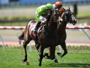 Royal Symphony ready for Flemington return