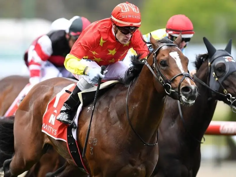Russian Revolution (left) will gallop at Moonee Valley ahead of the Group One Moir Stakes. Russian Revolution