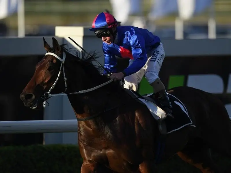 Brisbane Cup winner Chocante steps up to 2000m at Randwick on his way to the Metropolitan Handicap. Chocante