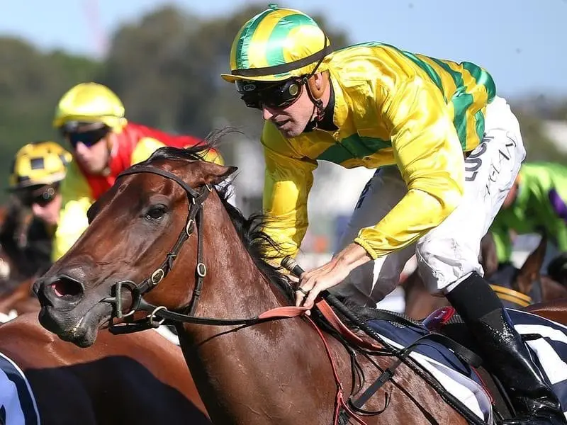 The Tim Martin-trained Heavens Above will take on Winx in the George Main Stakes at Randwick. G1 winner Heavens Above