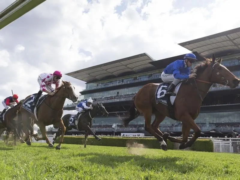Champagne Cuddles (left) will back up in the Golden Rose after her second to Alizee. Champagne Cuddles