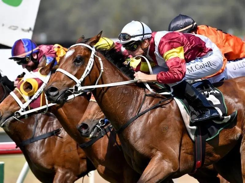 Loving Home wins at Ipswich as part of a Chris Waller-trained treble on two Queensland tracks. Loving Home