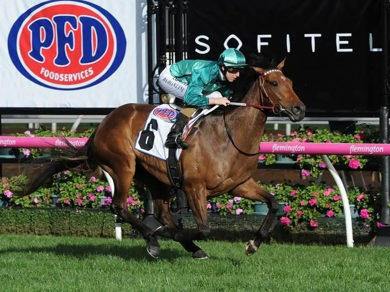 Jockey Damian Lane riding Humidor to win race 7.