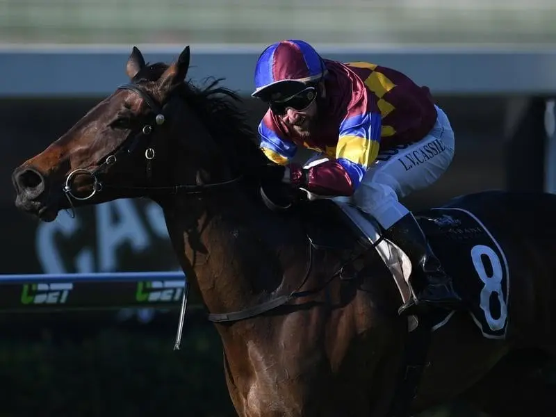 My Diamantine is an outsider in the Metropolitan but her trainer says she can defy her odds. My Diamantine