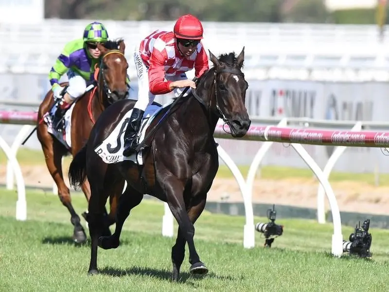 Oakleigh Plate winner Sheidel will be one of three Moir Stakes winners for Lindsay Park. Sheidel