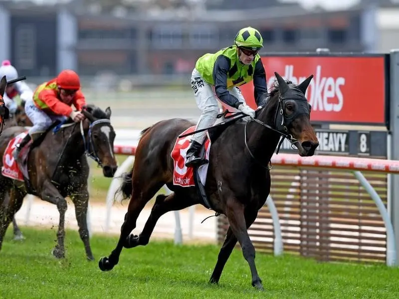 The David Brideoake-trained Extreme Bliss breaks through at Mornington under jockey Mark Zahra. Extreme Bliss