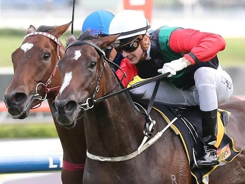 English (right) begins her journey to the $10m Everest when she runs in The Shorts at Randwick. English