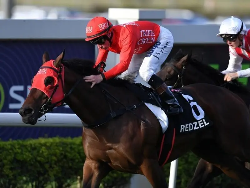 Doomben 10,000 winner Redzel will have his lead-up race to the Everest in The Shorts at Randwick. Doomben 10,000 winner Redzel