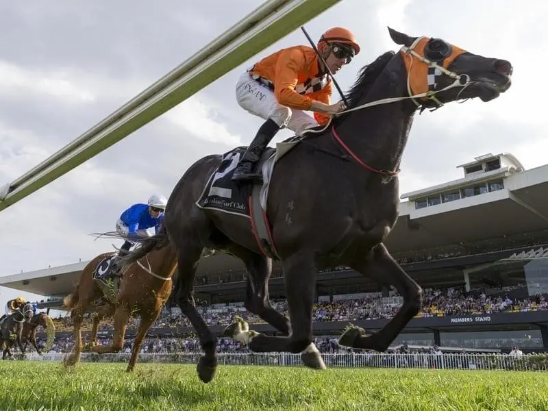 Ace High makes all the running to win the Gloaming Stakes at Rosehill. Ace High