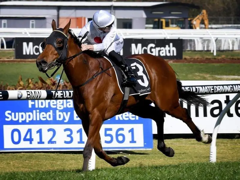 Deploy is in a race of his own, setting a track record in winning the Theo Marks Stakes. Deploy