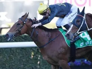 Sweet Redemption looking to atone