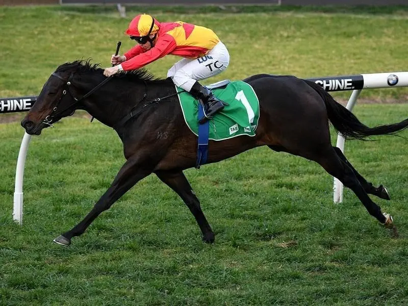 Trainer Bjorn Baker is confident a wide barrier will not stop Bonny O'Reilly in the Sheraco Stakes. Bonny O'Reilly