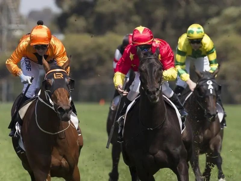 Auvray (right) wins the Colin Stephen Quality in a tight finish from Admiral Jello. Auvray
